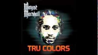 Go Harder - Wayne Marshall (ft. Ace Hood, Waka Flocka & Cham) (Official Audio)