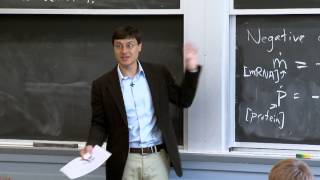 Oscillatory Genetic Networks