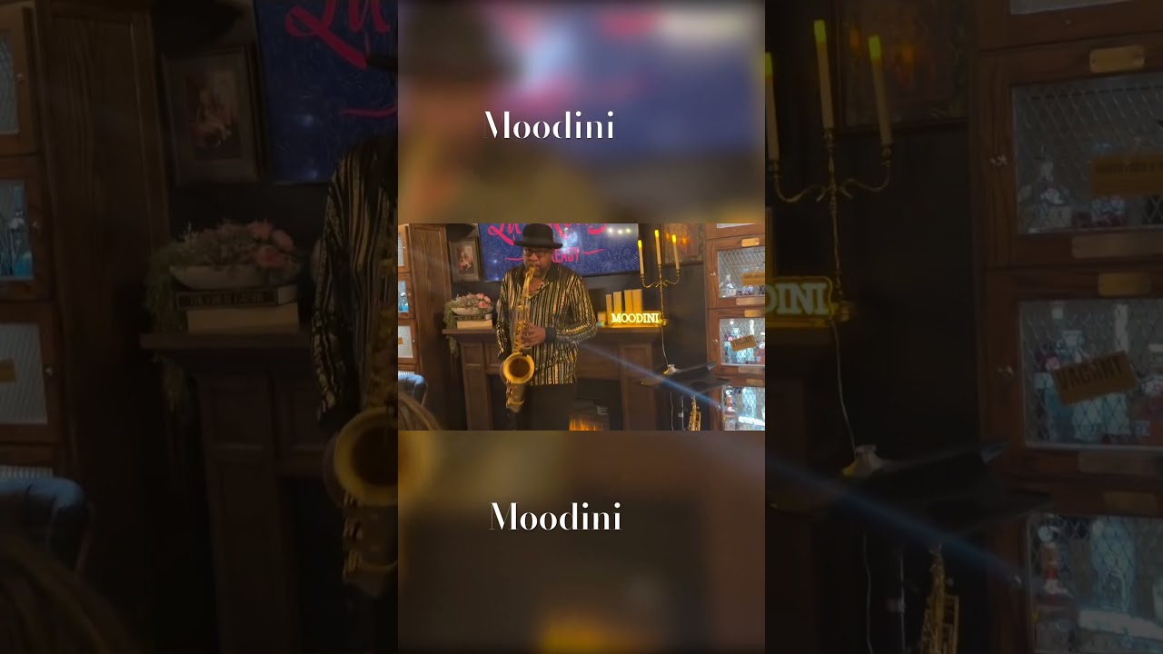 Promotional video thumbnail 4 for Moodini