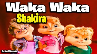 Waka Waka (This Time for Africa) - Shakira (Versio