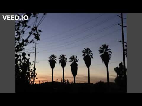 Urge - Open Shop ft. Blue Raggs & Chip