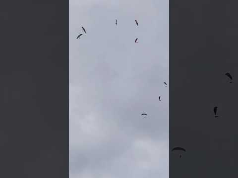 Céu florido com parapentes hoje em Antônio Prado de Minas #turismo #noticiasturismo