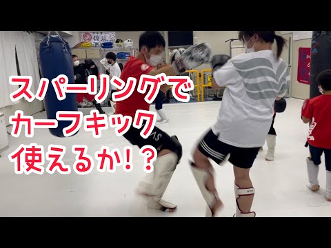 スパーリングでカーフキックを意識的に蹴ってみた！
