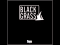 Black Grass - Toys 
