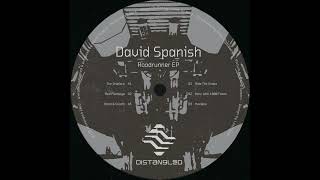 David Spanish - Hexidex (Distangled)