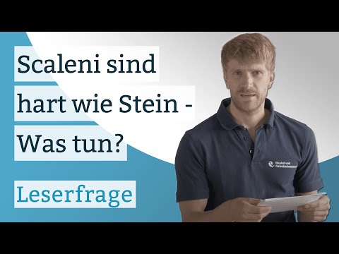Abdichtung an den Gelenken Gelenkflüssigkeit im Kniegelenk, welcher Arzt