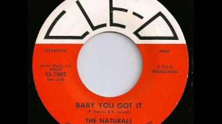 The Naturals - Baby You Got It