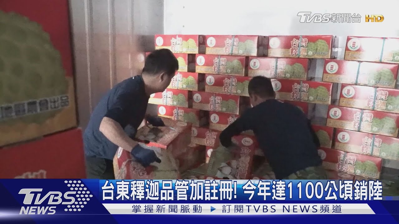 品管加註冊制度!台東釋迦今年達645戶1100公頃外銷大陸