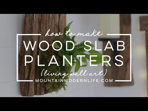 image-What is a plant mount?