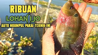 Download lagu BOM CAIR DAHSYAT‼️LOHAN DAN REDDEVIL AUTO NGUMPUL‼️ mancing lohan dan reddevil di Druju WKK mp3