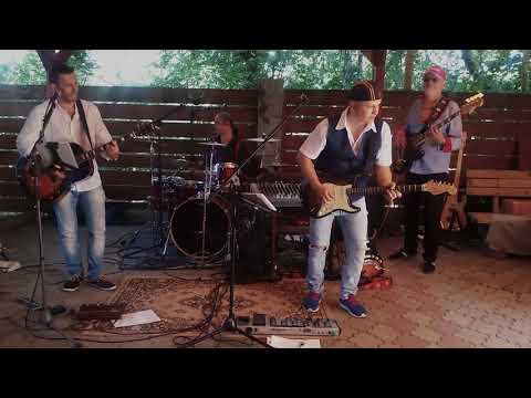 The ShellDoves - The Savage (The Shadows 1962 cover)