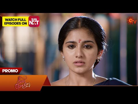 Singappenne - Promo | 17 May 2024  | Tamil Serial | Sun TV