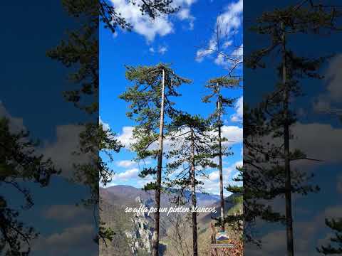 Traseul Crucea Alba si Puntea Veche  Baile Herculane