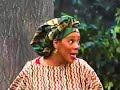 Barney Friends Who S Who At The Zoo