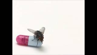 Red Hot Chili Peppers - Meet Me at the Corner (Lyrics)