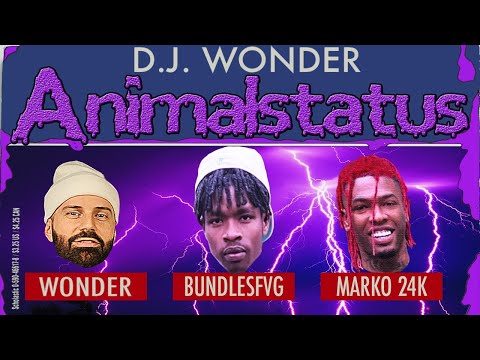 DJ Wonder Presents: AnimalStatus Episode 288 (Feat. BundlesFVG & Marko 24k)
