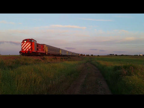 Comboio Especial n.º 13572 (Ovibeja 2017) - Beja