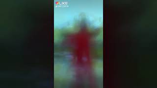 Download lagu Makan daging anjing🍖 dengan sayur kol👍 mp3 Download lagu Makan daging anjing🍖 dengan sayur kol👍 mp3