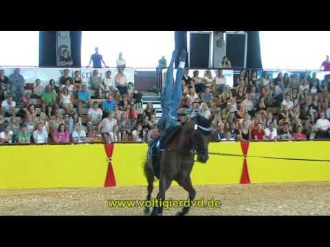 Anja Traub - BAW - DVM Alsfeld 2015 - Female - 11