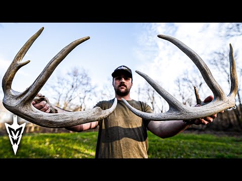 Tyler’s '24 Plan For Hunting A Missouri Giant, Drop Tine Buck Update #hunting