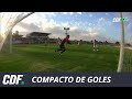 Palestino 4 - 1 Universidad De Concepción | Campeonato AFP PlanVital 2019 | Fecha 4 | CDF