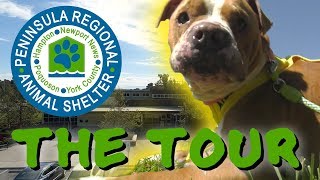 The Newport News Peninsula Regional Animal Shelter: Facility Tour