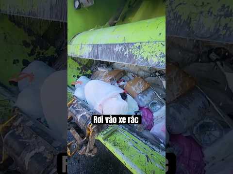 Điều Gì Xảy Ra Nếu Bạn Rơi Vào Thùng Xe Rác? 😨