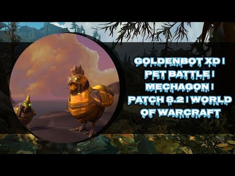 GOLDENBOT XD | PET BATTLE | MECHAGON | PATCH 8.2 | WORLD OF WARCRAFT 🎮🎮🎮