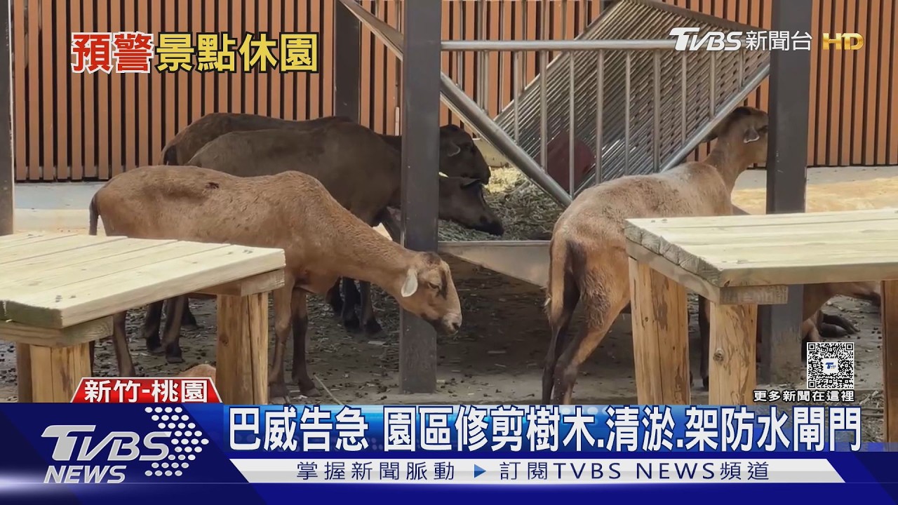 影音／巴威要來了！「桃園8景點」急封園　動物也避難
