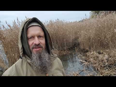 Как убрать из водоёма камыш с корнями? Надёжная технология!