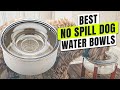 3 BEST No Spill Dog Water Bowls