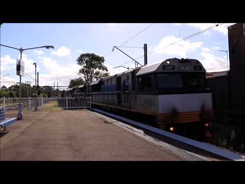 LDP001, SCT012, CSR004 | 6MB9 | Carlton