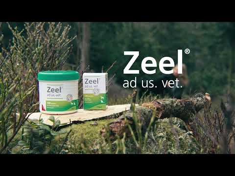 Produktvideo