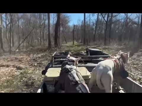 I can’t wait for this weather again! - Dogo Argentinos #hoghunting