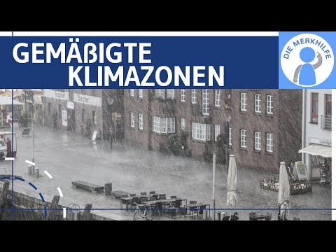 Temperate climates / latitudes - Cyclonic weather, seasons & vegetation explained