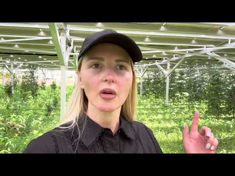 大切にしましょ！