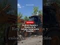 Homepage 1 Video thumbnail