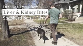 Lamb and Goat Liver or Kidney Bites Dog Treats