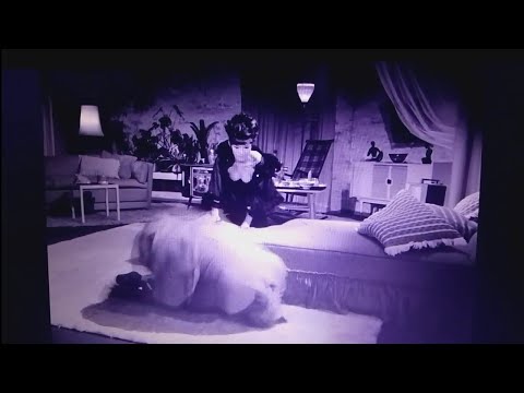 Sigma Geheimagent Peter van Eyck gegen Auftragskillerin