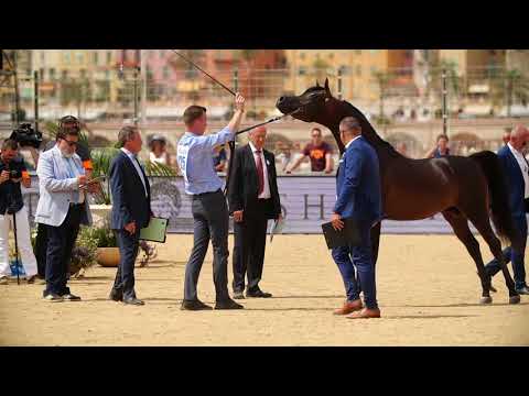 MARWADEE DEL MAR  , Menton 2018