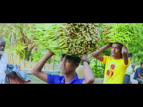 কন্দাল ফসল