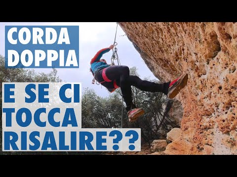 Multipitch: How to ascend rappels in an emergency? With and without a plate! #focusclimbing9