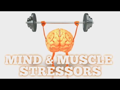 Mind & Muscle Stressors | 2 min topics - Knowing Intellectual Motivation
