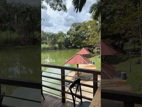 Nativos Pesca & Lazer / 📍 Anápolis GO #pesqueepague #pesqueepagueanapolis