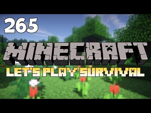 Let's Play Minecraft ITA - Ep.265 - Riuscirò a superare questo punteggio?
