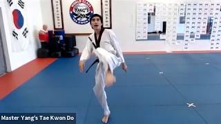 Live Class- Green Belt - 5.19.20 @ 5pm