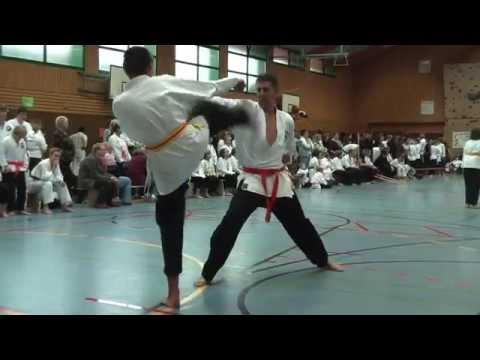KEMPOKA RYU Steinheim - FairFight Leopoldshöhe 2009