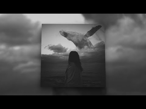 SymphoCat - Long Whale Song (Slowed + Reverb) [1 Hour Loop]