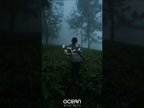 පාට දේදුනු සේදීලා ඈත කදු යායේ(Pata Dedunu Sedila) Lyrics Status| #lyrics#ocean_music#dileepasaranga