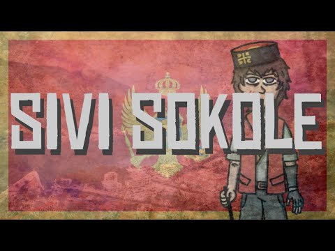 Ismet Krcić - Sivi sokole (napisy PL)